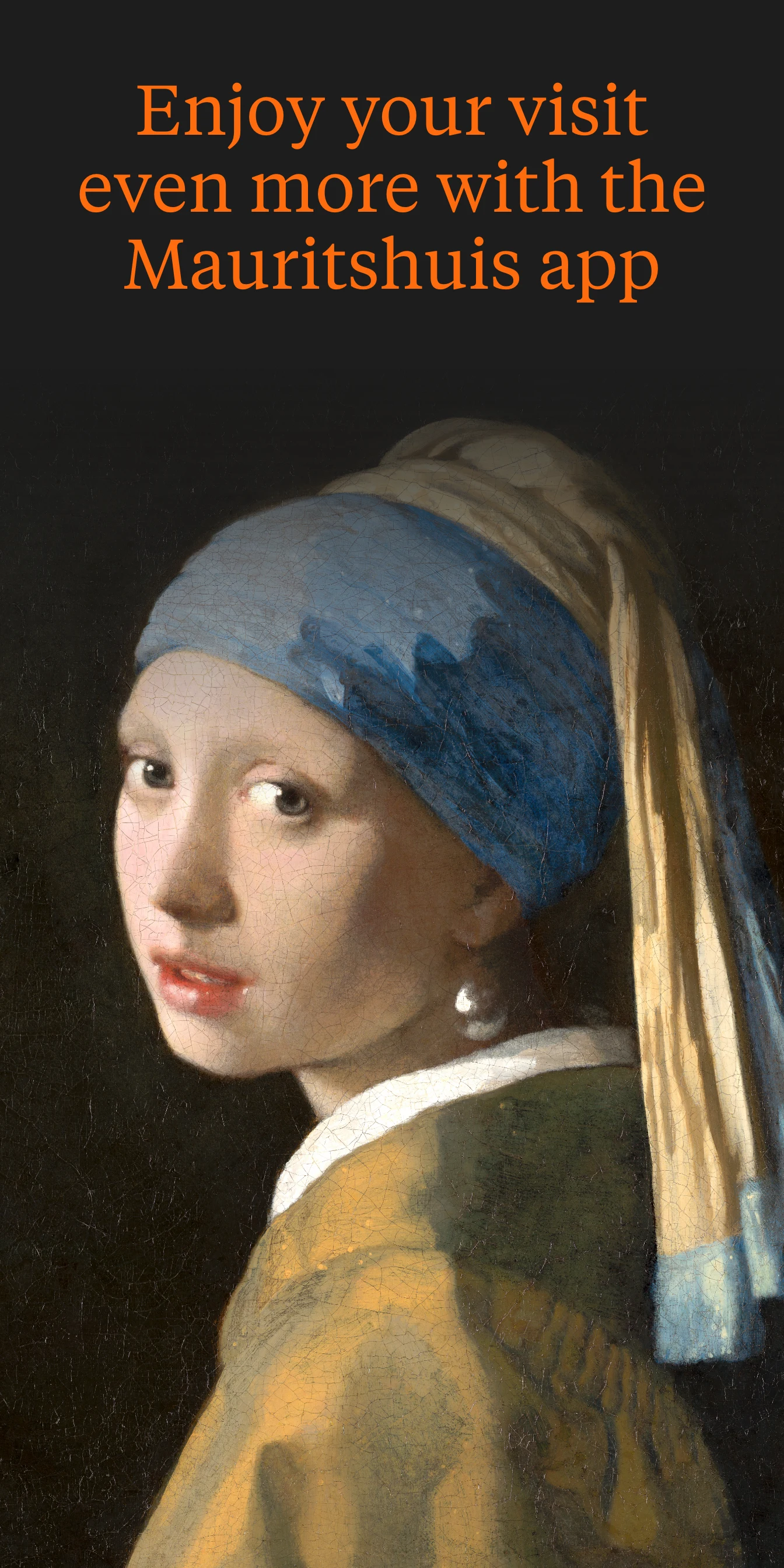 Mauritshuis screenshot