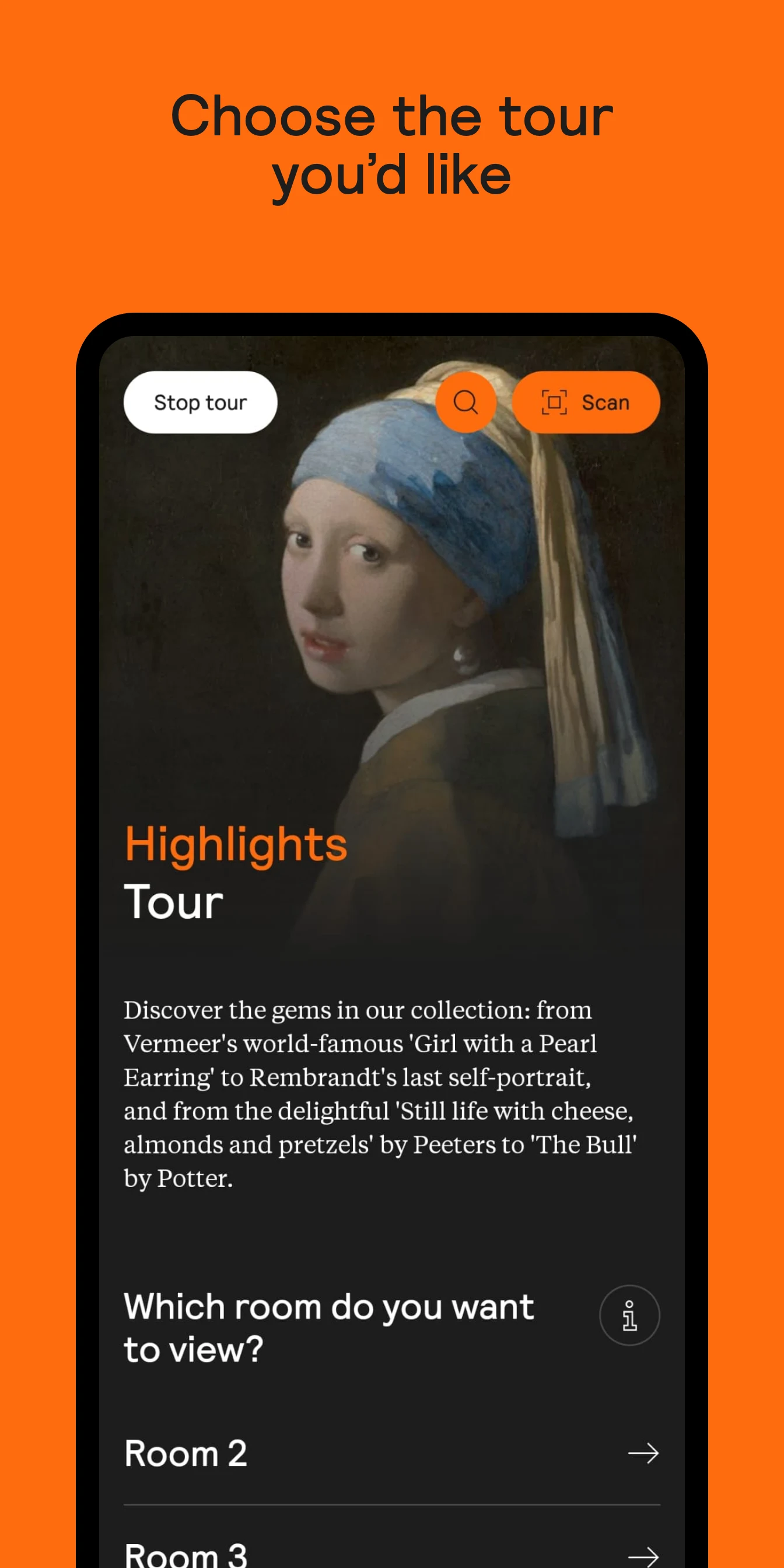 Mauritshuis screenshot